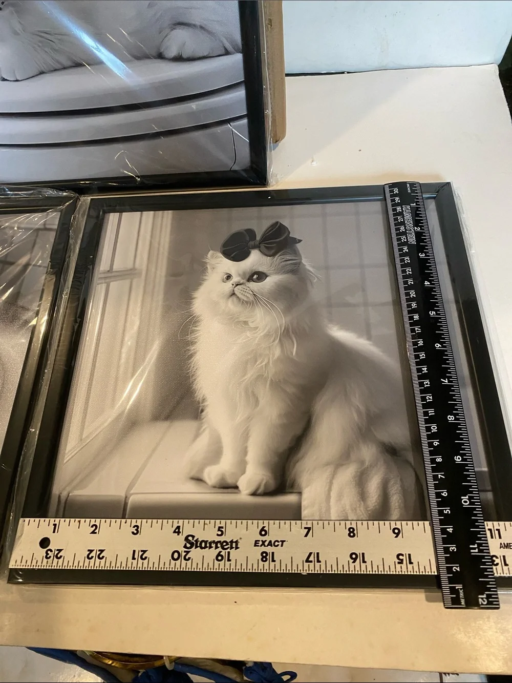 NIB Set of 3 Framed Black and White Prints of White Cats